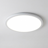 Luminara | Sleek Ultra-Thin Round LED Ceiling Light Fixture