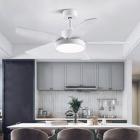 Noosa 5-blade downrod ceiling fan with LED light, 117 cm – view 3