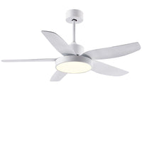 Noosa 5-blade downrod ceiling fan with LED light, 117 cm – view 9