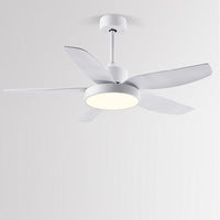 Noosa 5-blade downrod ceiling fan with LED light, 117 cm – view 7
