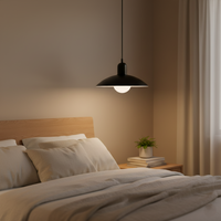 Bauhaus Pendant Light — Colourful Iron Shade, Mix and Match