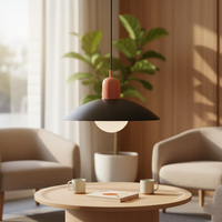 Bauhaus Pendant Light — Colourful Iron Shade, Mix and Match