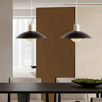 Bauhaus Pendant Light — Colourful Iron Shade, Mix and Match