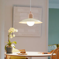Bauhaus Pendant Light — Colourful Iron Shade, Mix and Match