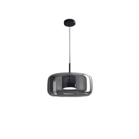 Smoked Glass Pendant Light — Hand-Blown Glass, Single or Trio