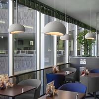 Wabi-Sabi Pendant Light — Sculptural Fibreglass Shade
