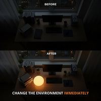 Rechargeable Globe Table Lamp — 16 Colour LED with Remote