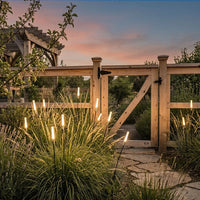 ReedGlow | Elegant Natural Outdoor LED Landscape Light Spikes 1