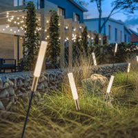 ReedGlow | Elegant Natural Outdoor LED Landscape Light Spikes 10