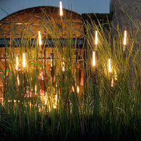 ReedGlow | Elegant Natural Outdoor LED Landscape Light Spikes 12