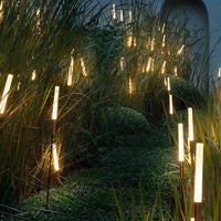 ReedGlow | Elegant Natural Outdoor LED Landscape Light Spikes 14