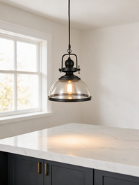 Noctelle clear glass bowl pendant light with black frame