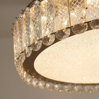 Luminara Crystal LED Flush Mount Ceiling Light — close-up detail