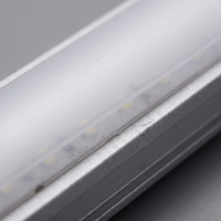 LuminaraFlex Waterproof Outdoor LED Recessed Strip Light — close-up detail