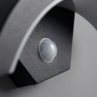 ArcadiaLight Motion Sensor Outdoor Wall Lantern — close-up detail