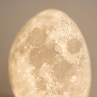 Lunara LED Moon Table Lamp — close-up detail