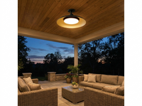Gnarloo Outdoor Ceiling Light Fixture — lifestyle