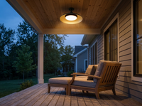 Gnarloo Outdoor Ceiling Light Fixture — in-use
