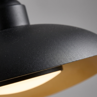 Gnarloo Outdoor Ceiling Light Fixture — close-up detail