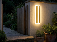 AureaGlow Golden Outdoor Wall Light Sconce — in-use