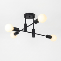 CelestialGlow Flush Mount Ceiling Light — Black finish