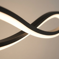 Luminara | Sleek Adjustable Dimmable LED Pendant Light for Modern Spaces — Close-up detail