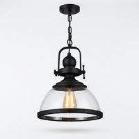 Luminara | Elegant Retro Industrial Clear Glass Pendant Light — front view on white