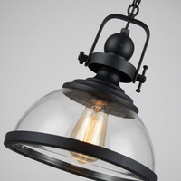 Luminara | Elegant Retro Industrial Clear Glass Pendant Light — close-up of iron yoke and glass shade