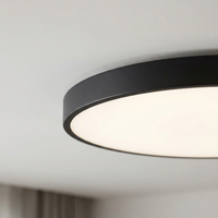 Luminara | Sleek Ultra-Thin Round LED Ceiling Light Fixture — close-up of slim edge