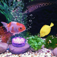 Submersible Pool LED Light — 16 Colours with Remote, IP68
